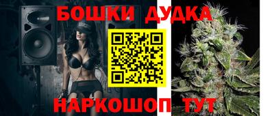 стаф Будённовск